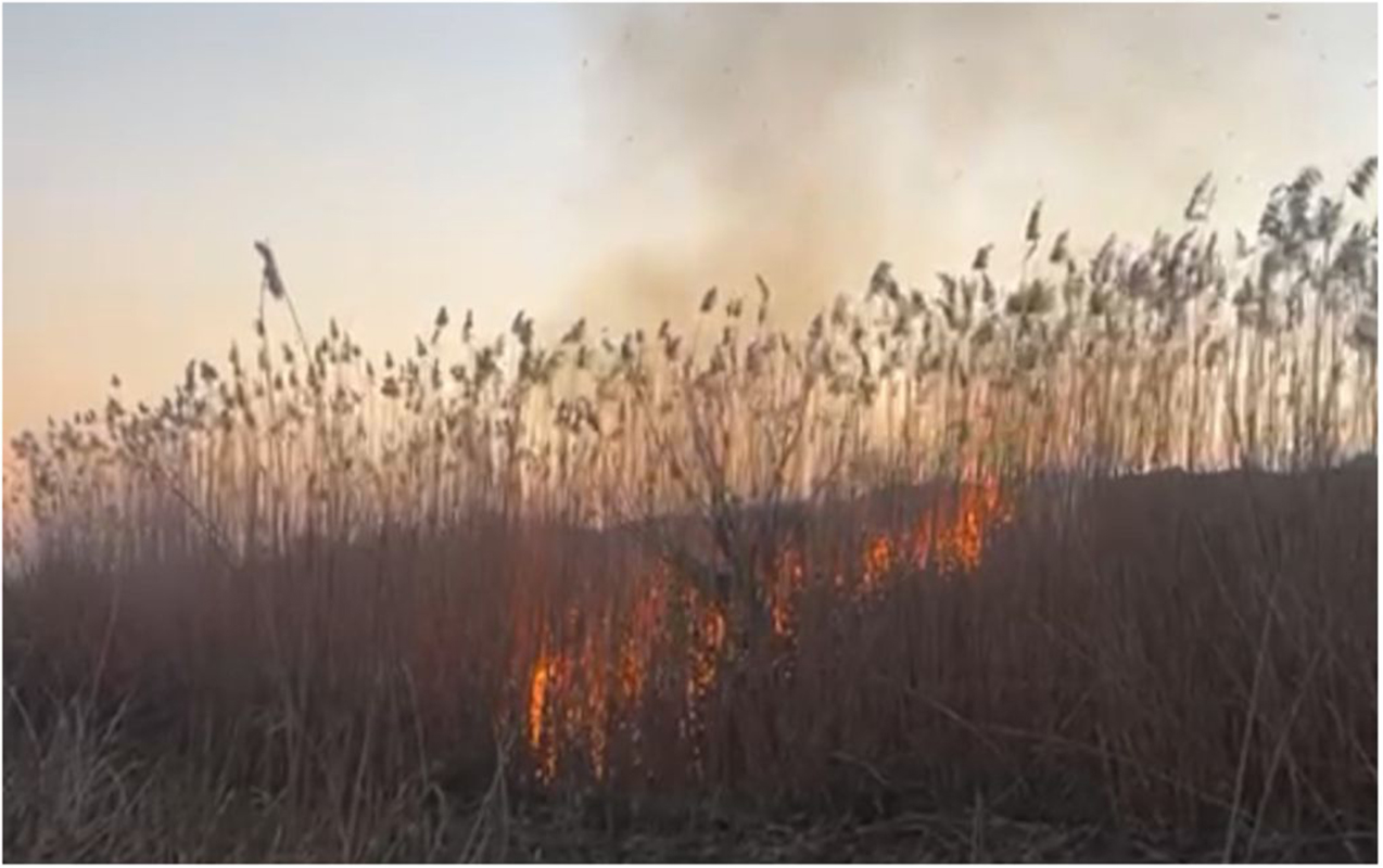 cebrayilda-yangin-toreden-sexs-tutuldu