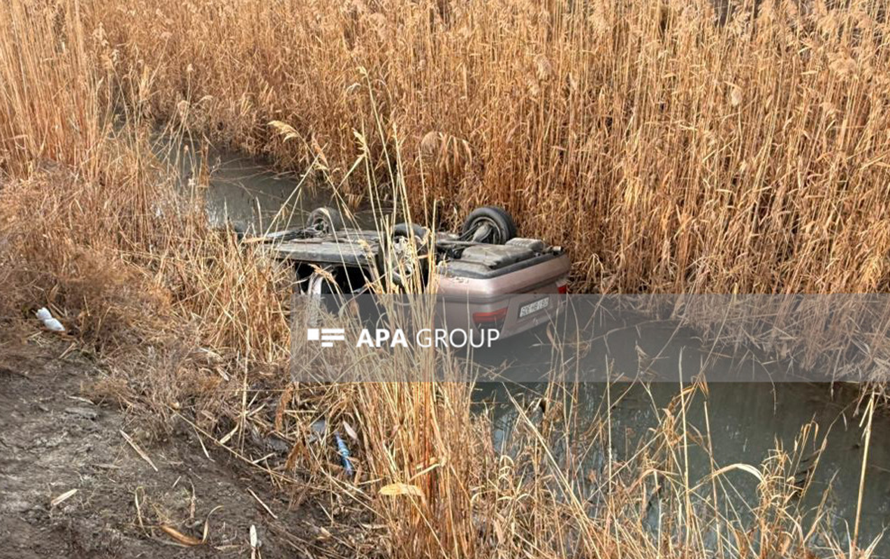 avtomobil-kanala-dusdu-olen-var