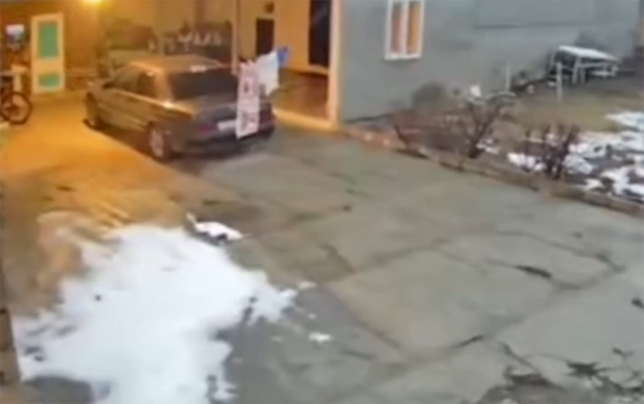 agsuda-bas-veren-zelzelenin