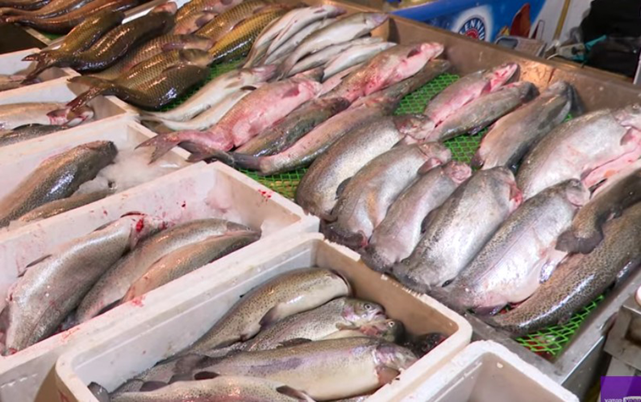 azerbaycanda-forelin-qiymeti-bahalasdi