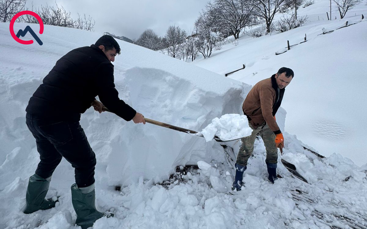 olsek-hec-kimin-xeberi-olmayacaq