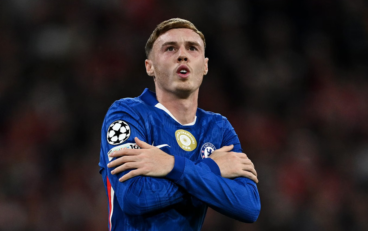 palmer-celsiden-gede-biler