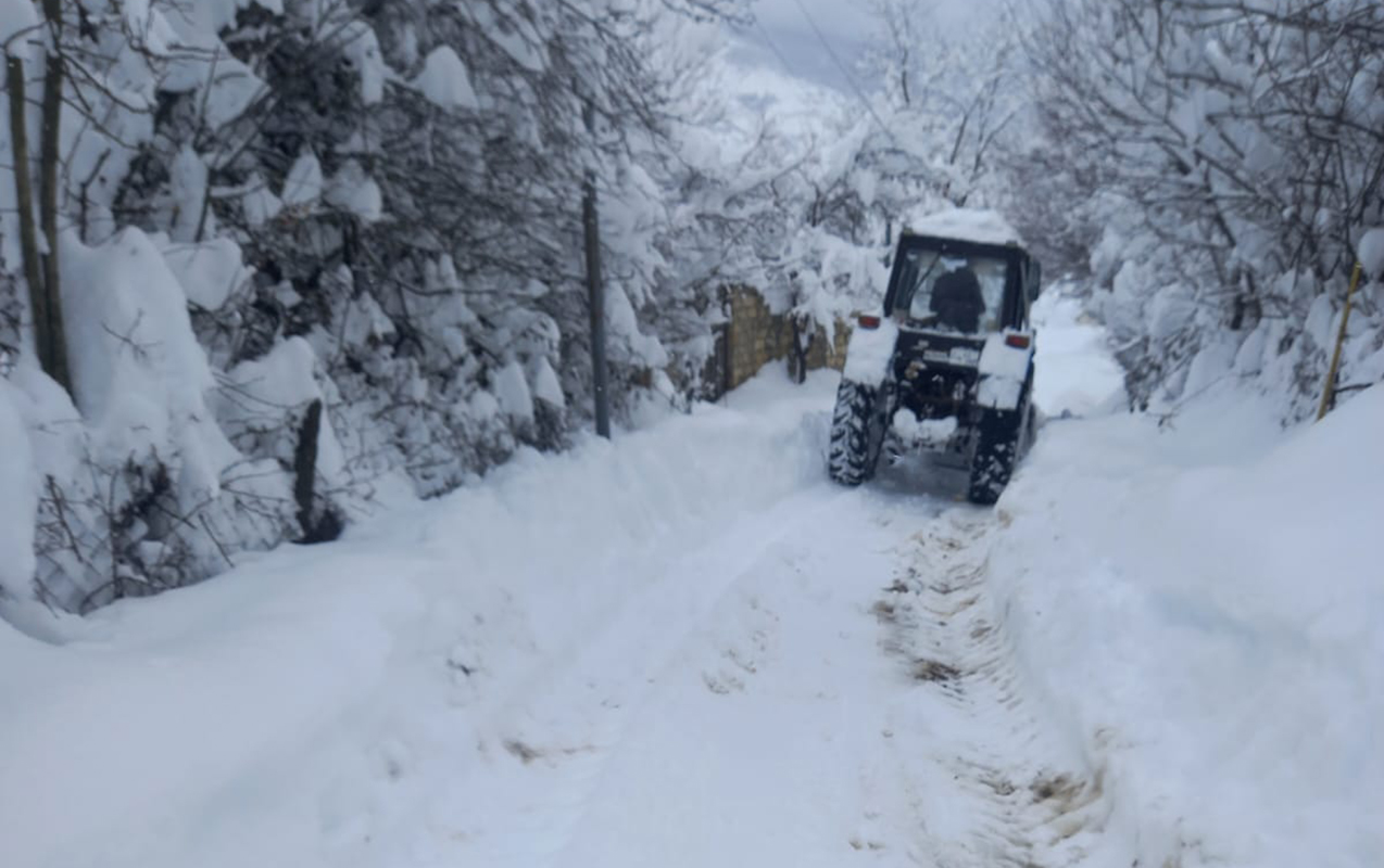 lerikde-qar-heyati-iflic-etdi