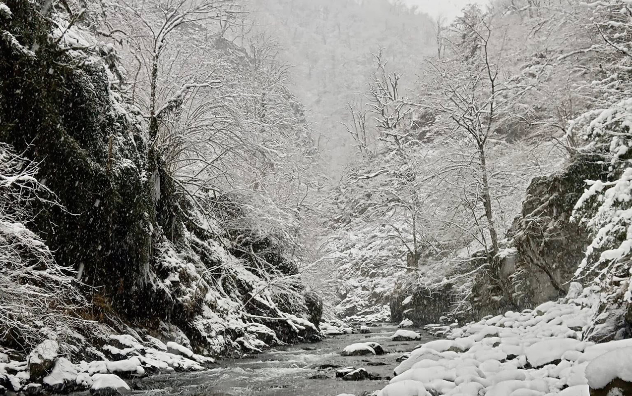 zaqatalani-gormeyin-esl-zamanidir