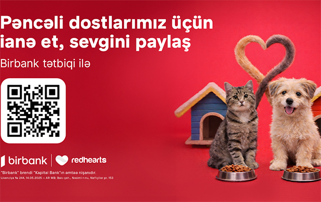 penceli-urekler-sahibsiz-heyvanlara-destek-aksiyasi-ugurla-davam-edir