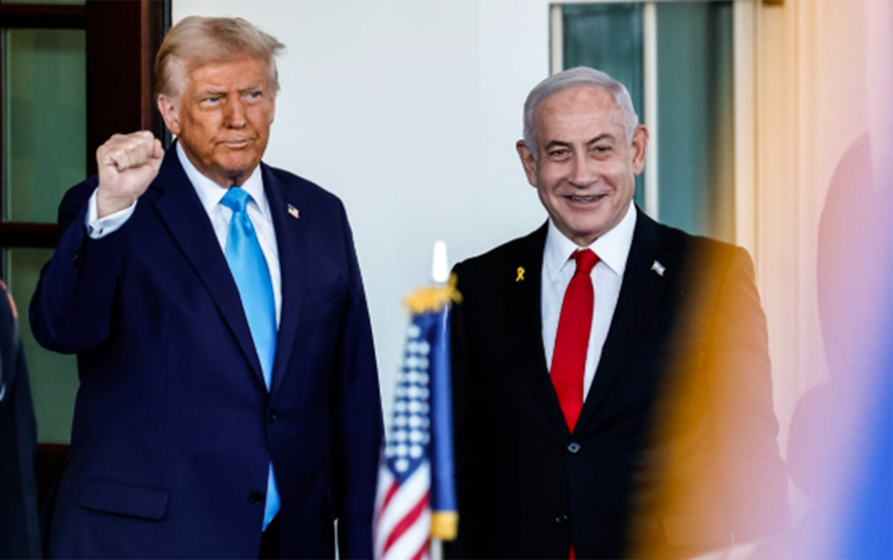 trampla-gorus-ucun-abs-ye-gedecek