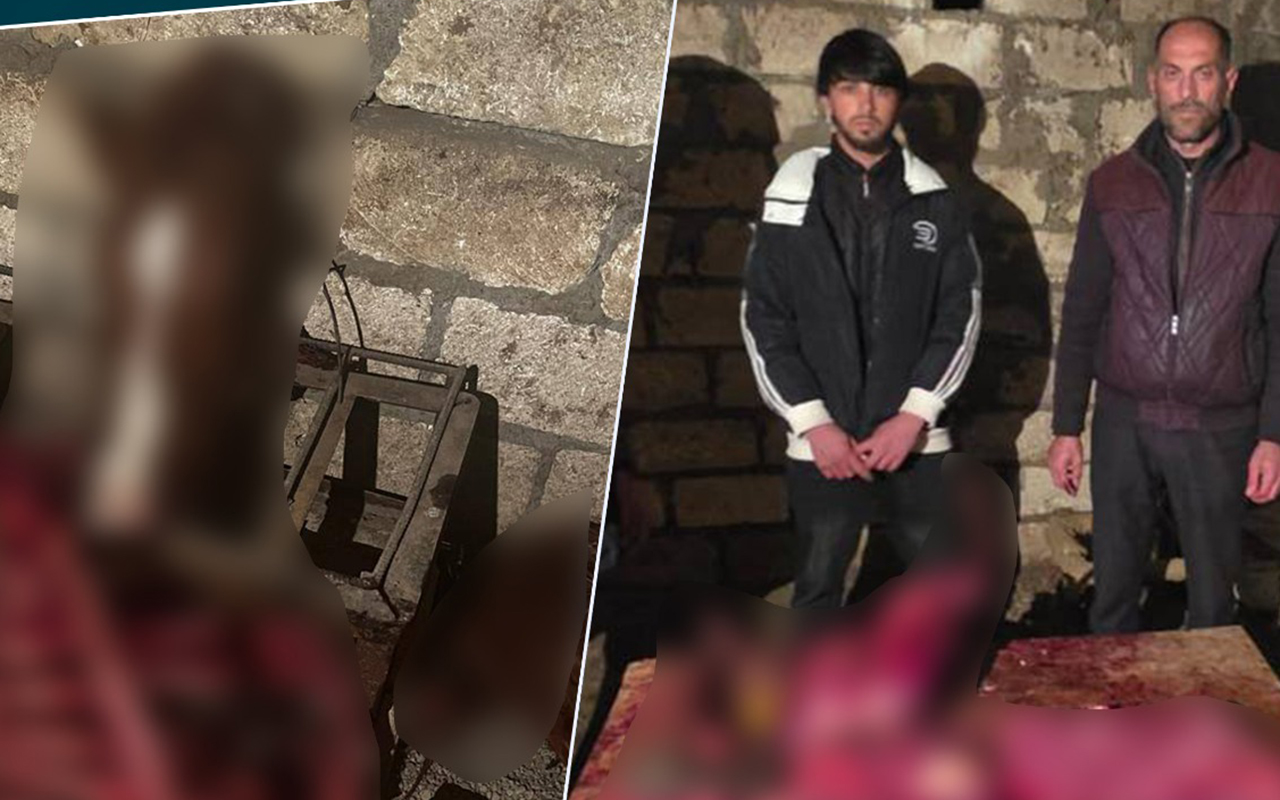 146-kq-at-etini-mal-eti-adi-ile-bakida-satacaqdilar