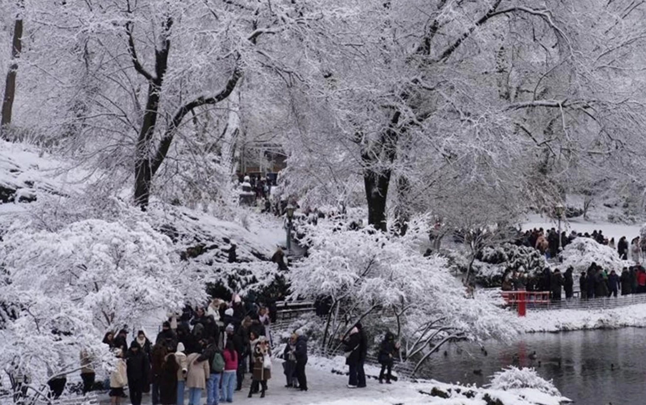 nyu-yorkda-saxtali-hava-seraitine-gore-18-nefer-oldu