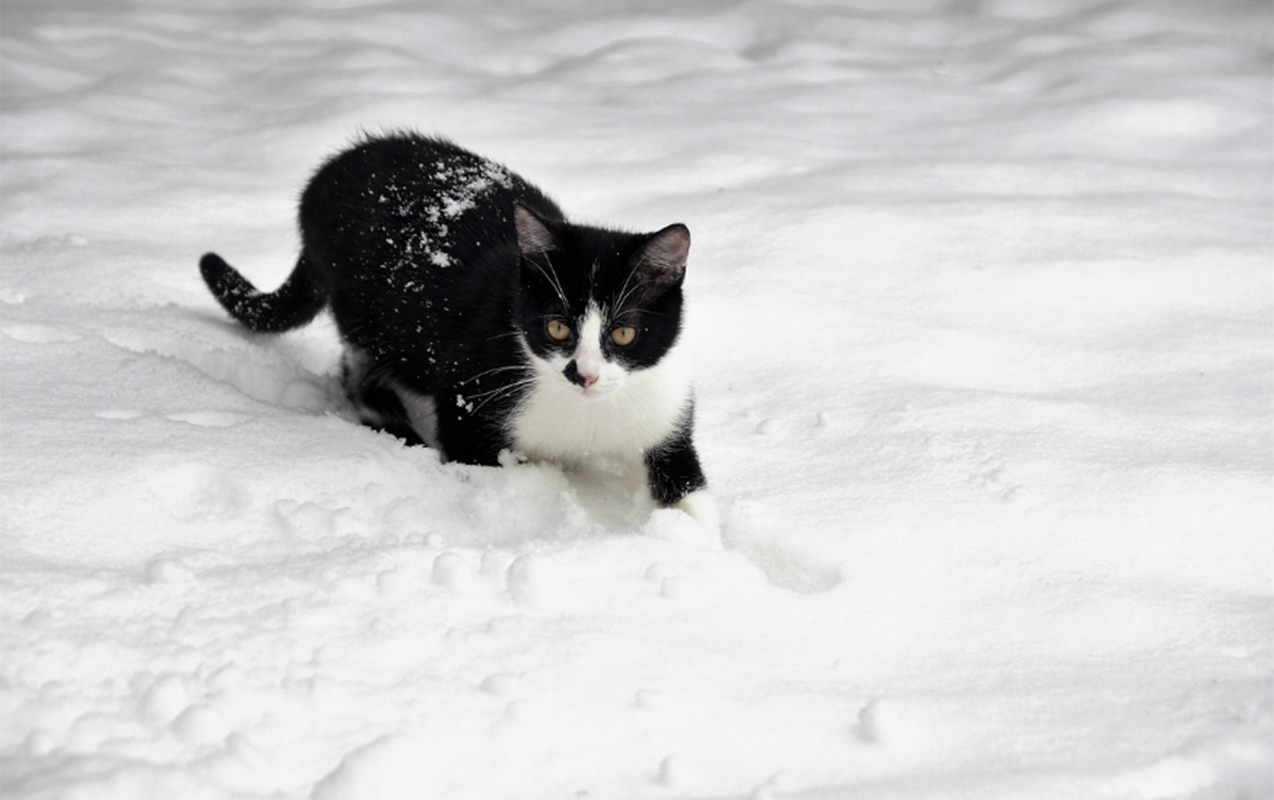 sabah-hava-nece-olacaq