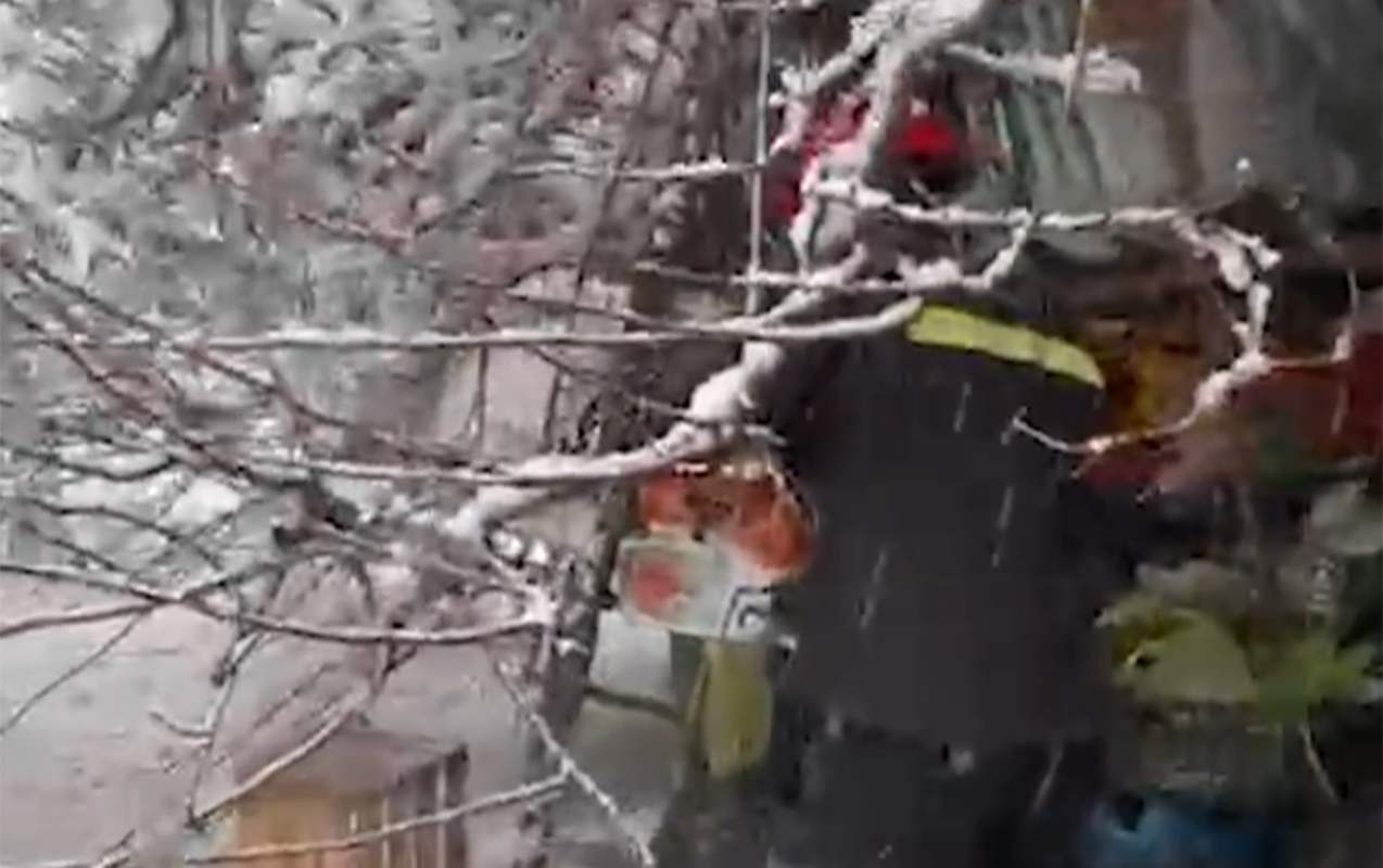 60-yasli-qadinin-uzerine-agac-asdi