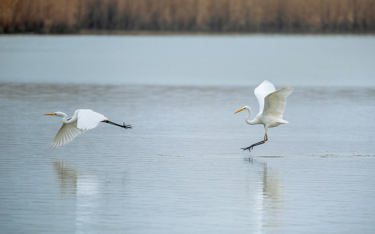 sirvan-milli-parkindan-esrarengiz