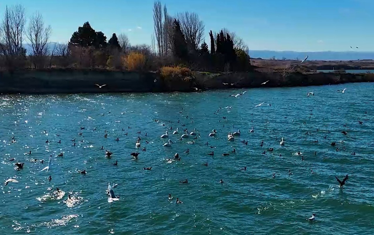 yenikend-su-anbarinda-ekoloji-nezaret-guclendirilib