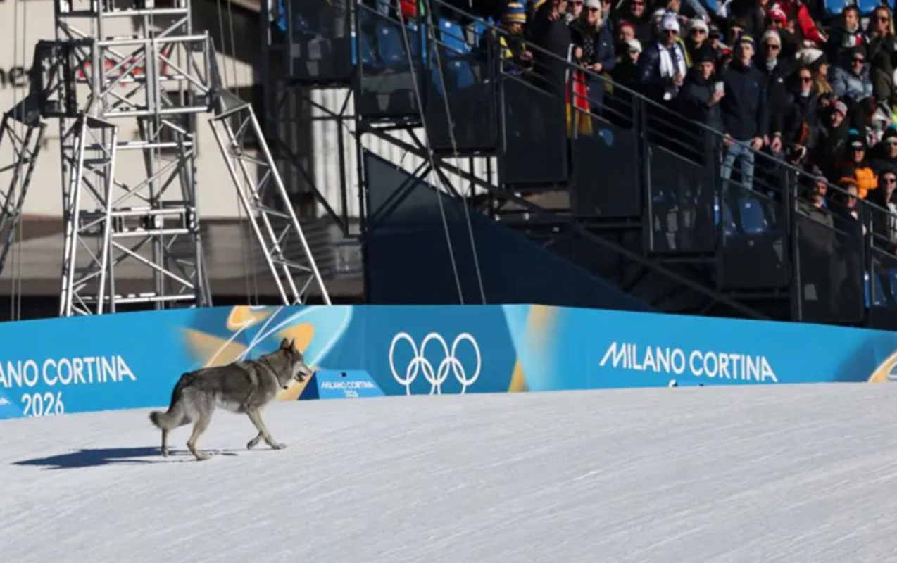 olimpiadada-gozlenilmez-istirakci-peyda-oldu