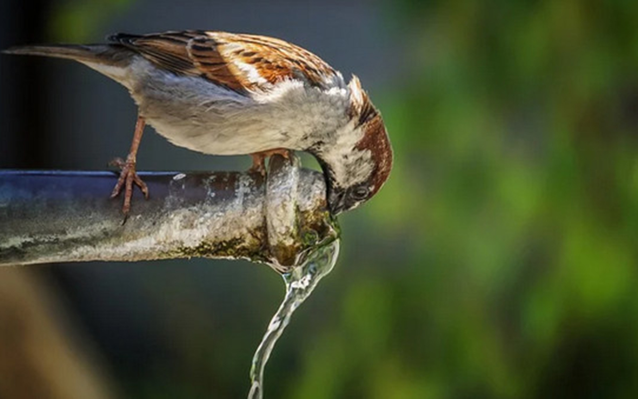 uc-gun-sonra-ilk-cersenbeni-qeyd-edeceyik