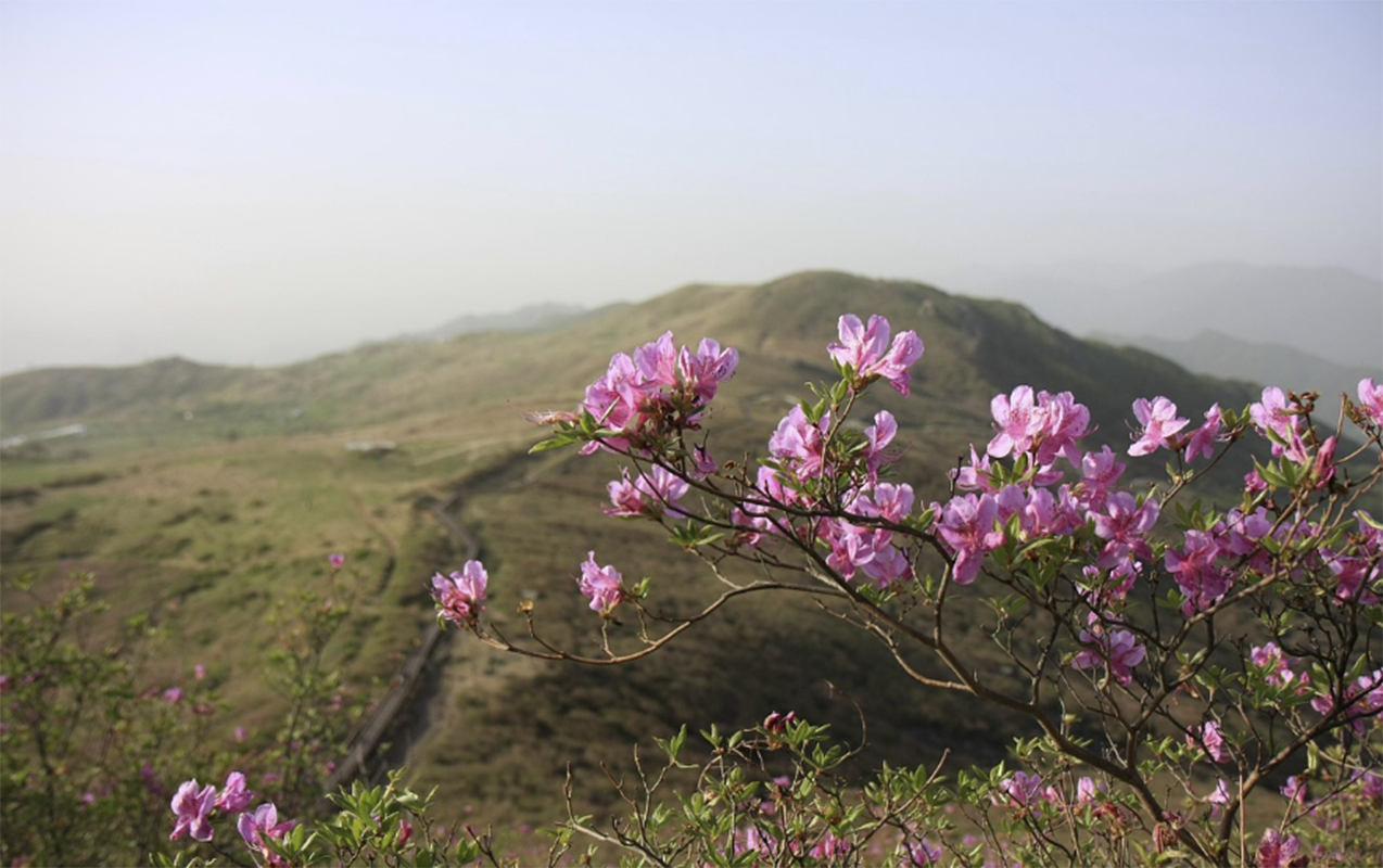 martda-hava-nece-olacaq