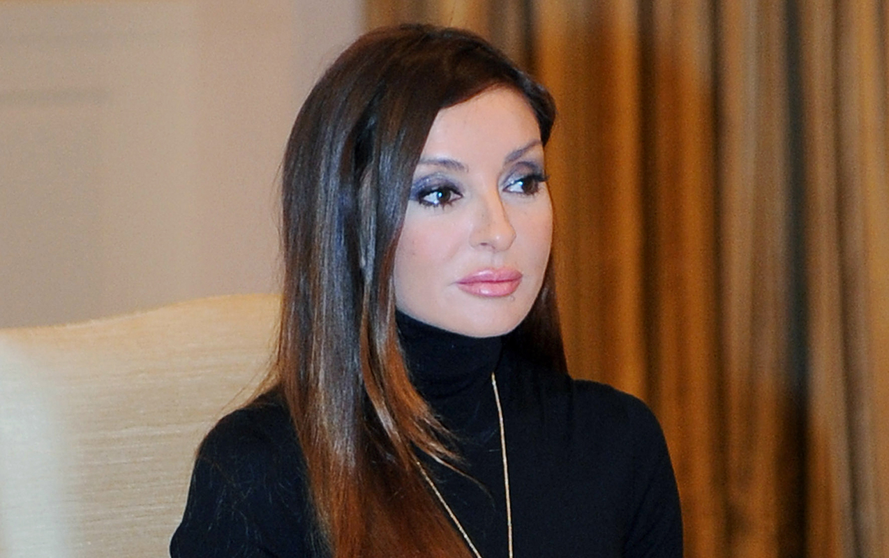 birinci-vitse-prezidentin-rehberliyi-bu-sektora-boyuk-maliyye-ayrilmasini-guclendirecek