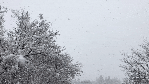 martin-ilk-gununun-havasi