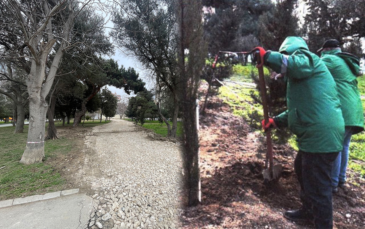 zorge-parkinin-icinden-yol-salinib