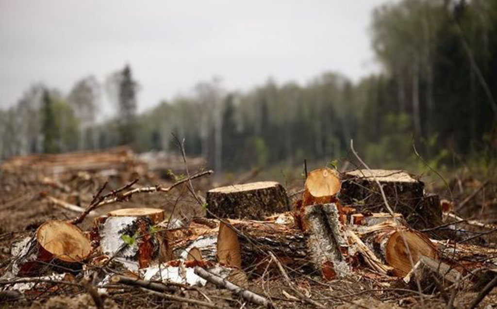tebiete-1-heftede-63-minlik-ziyan-vurdular