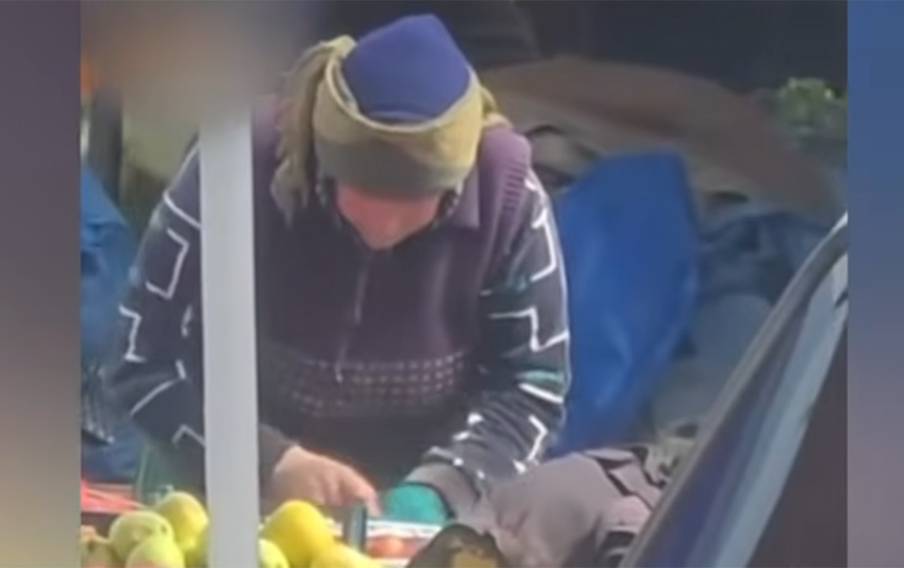 almani-tupurcekle-temizleyen-qadin