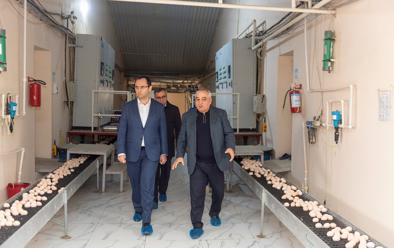 nazir-qusculuq-muessiselerinin-fealiyyeti-ile-tanis-oldu