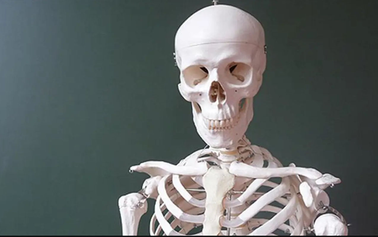 iqlim-bohrani-sumuklerimizi-eridirmis