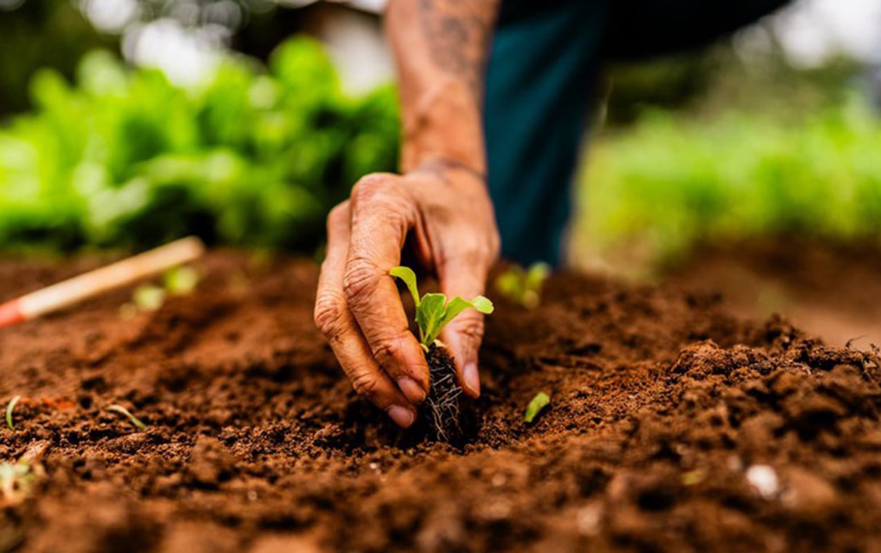 zabux-sakinlerinin-nezerine