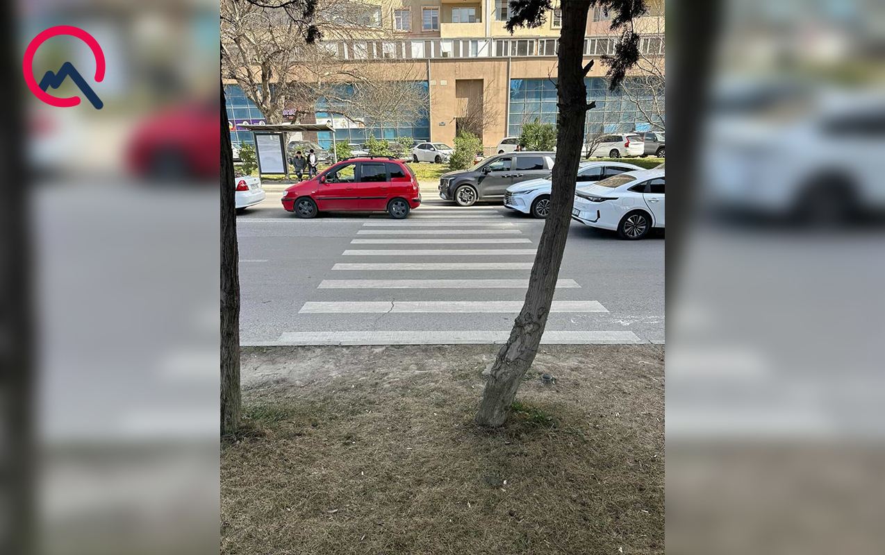 piyada-zolagindan-sonra-seki-yoxdur-agacliga-giririk