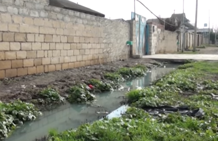 hemin-ailenin-basqa-bir-ovladi-da-o-arxa-dusub-olubmus