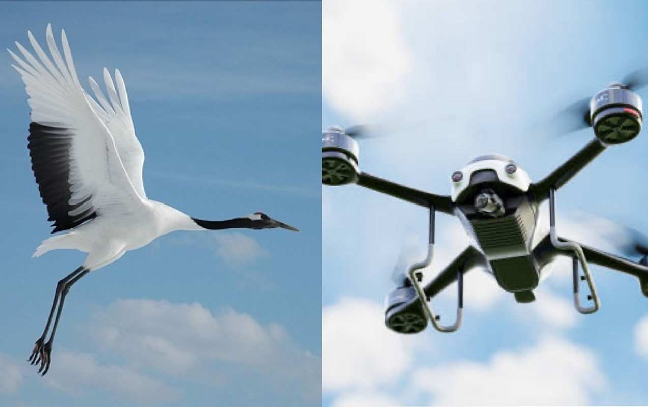 semasinda-dron-ucan-ve-durna-ucan-liderler-olkeler