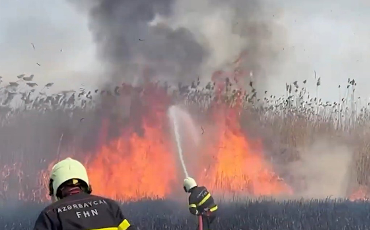 qazaxda-2-hektarliq-sahe-yandi