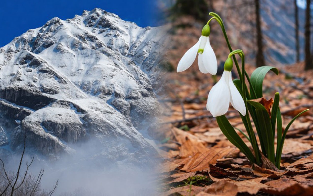 bir-yanimiz-qarli-daglar-bir-yanimiz-gul-cicek