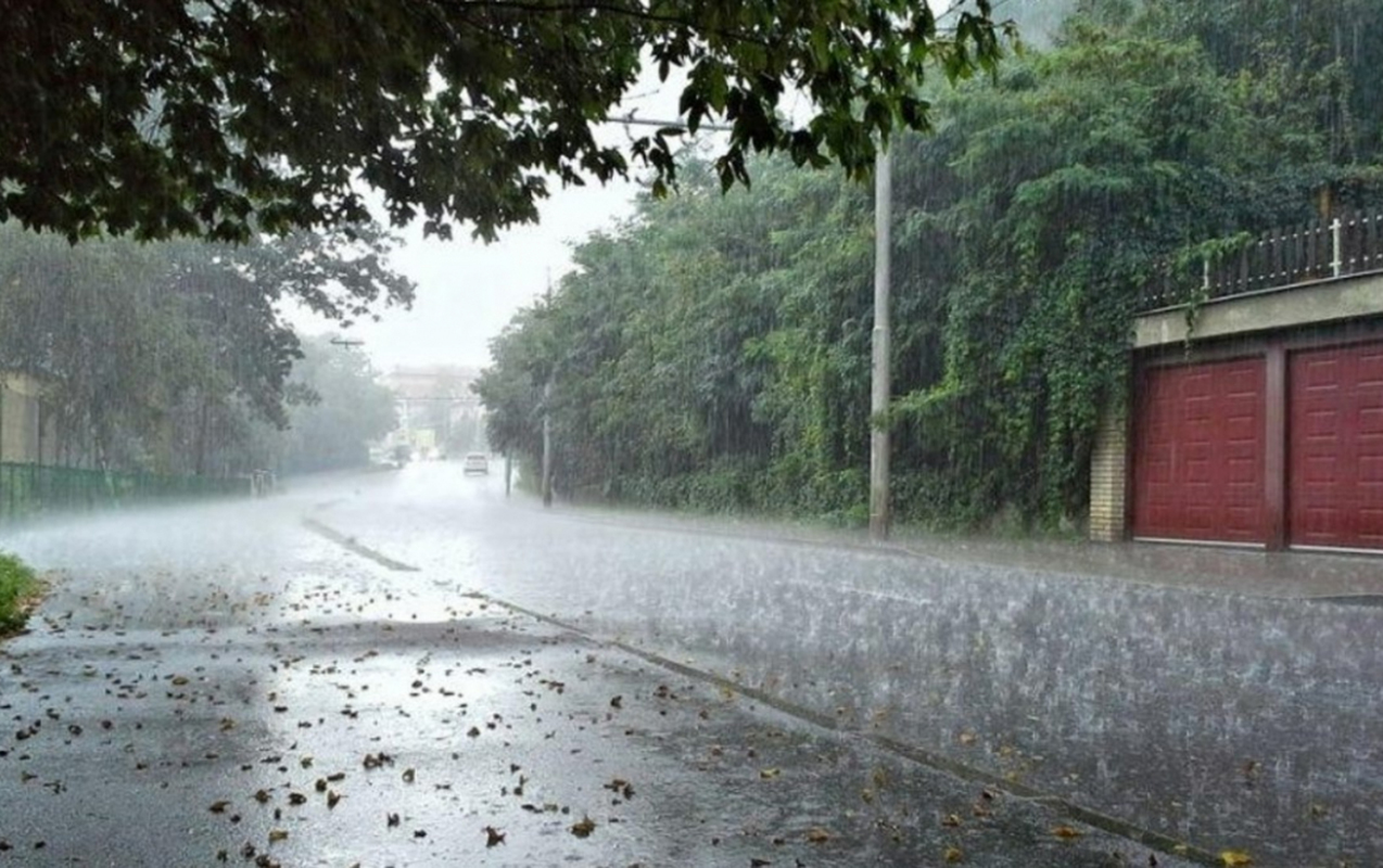 suruculerin-nezerine