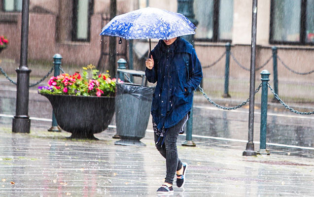 yagintinin-miqdari-normadan-6-defe-cox-olub