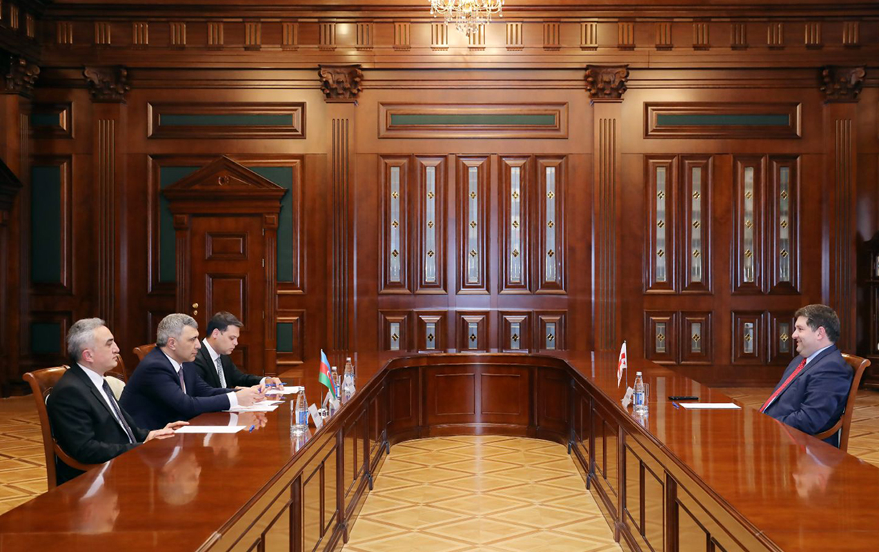 inam-kerimov-gurcustan-vekiller-kollegiyasinin-sedrini-qebul-etdi