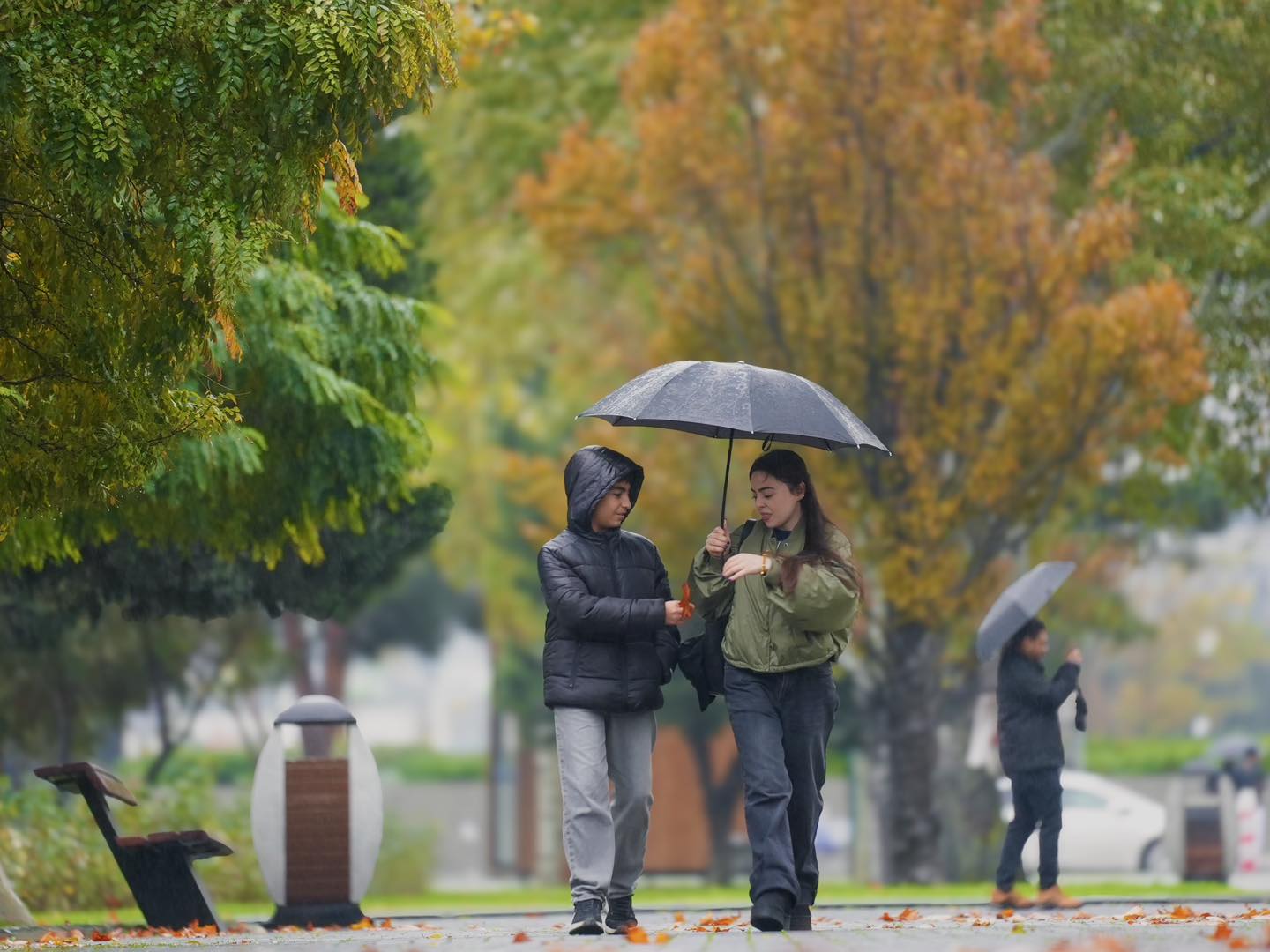 sabah-intensiv-yagis-yagacaq