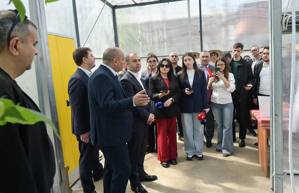 lenkeran-dovlet-pese-tehsil-merkezine-infotur