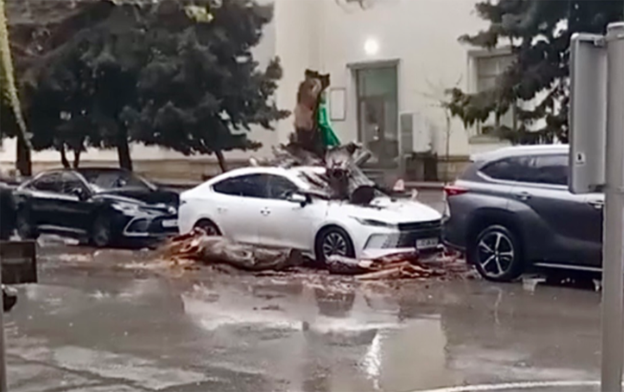 neheng-agac-bydnin-ustune-asdi