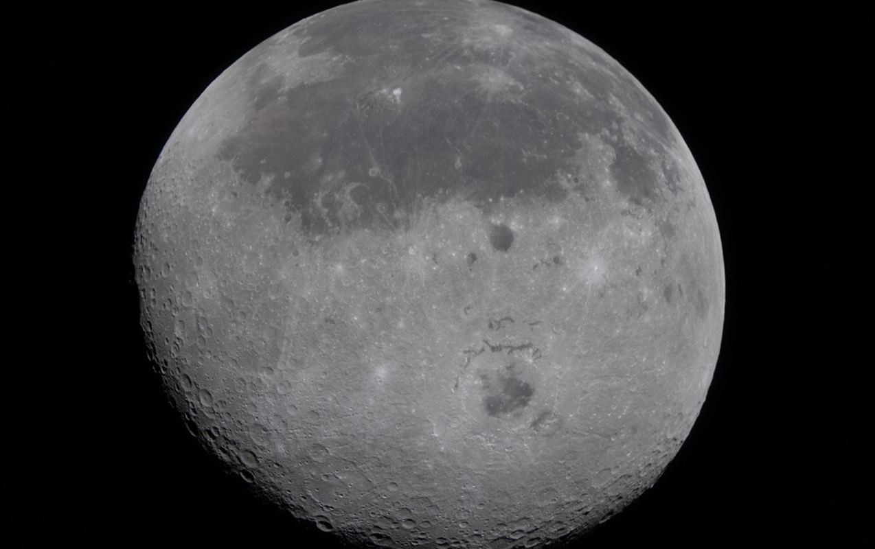 ayi-bele-yaxindan-gormemisiniz