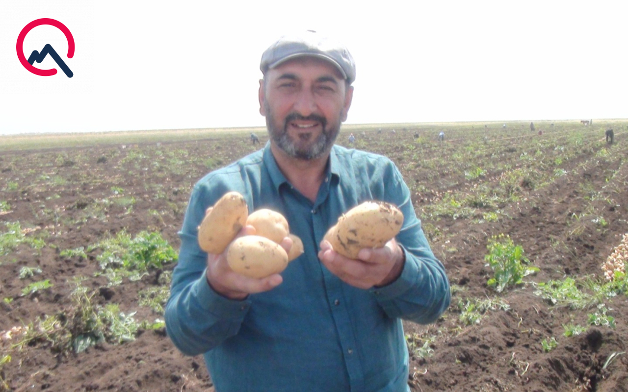aldiqlari-kartofun-pulunu-vermediler-300-min-manat-ziyandayiq