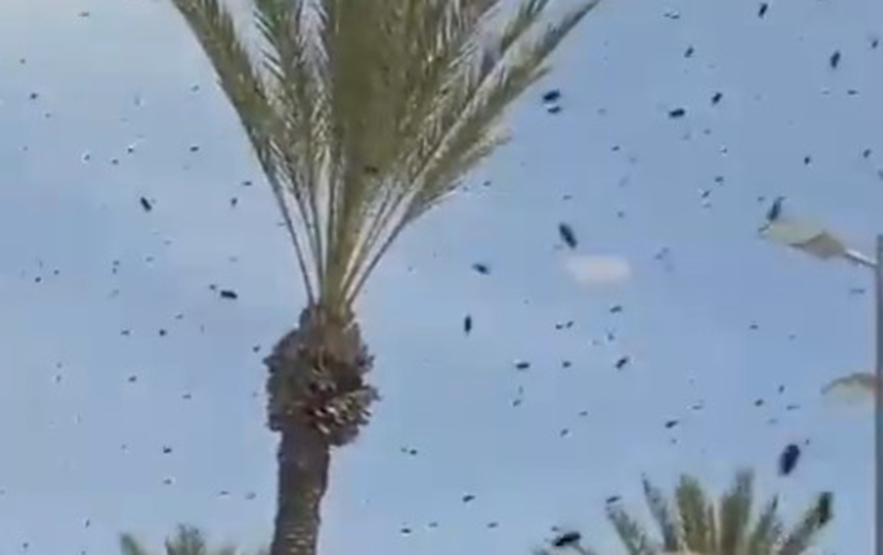 ari-xeberdarligi-elan-etdiler