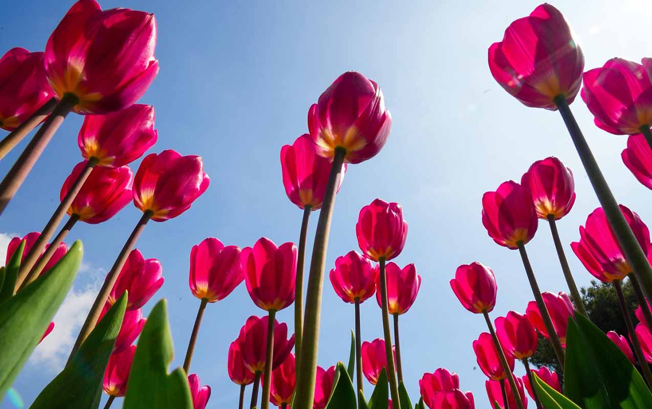 sabah-hava-nece-olacaq