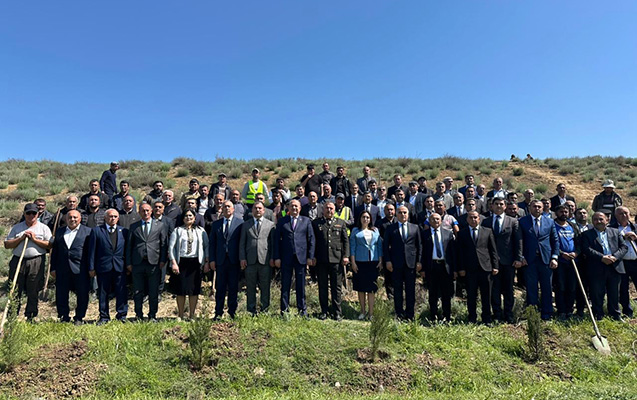 beyleqanda-agacekme-aksiyasi-kecirildi