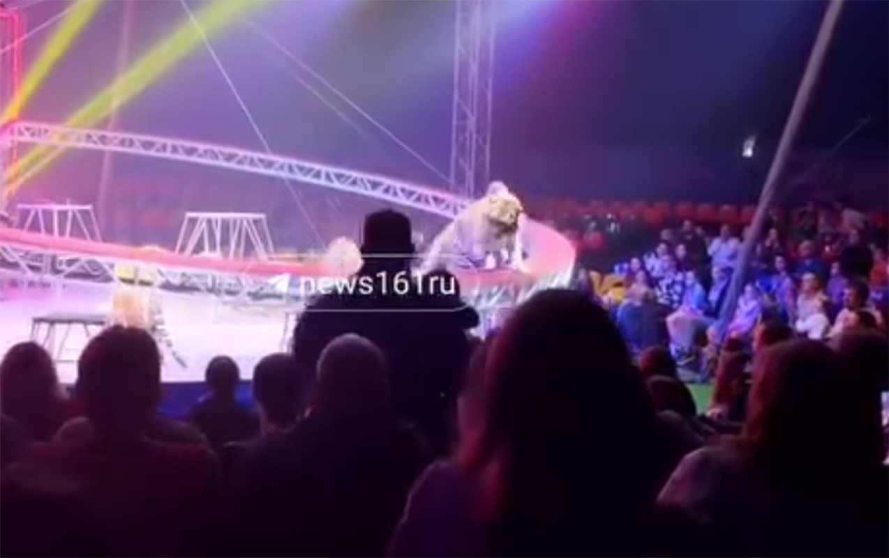 rusiyada-sirkde-peleng-tamasacilarin-oturdugu-zonaya-dusdu