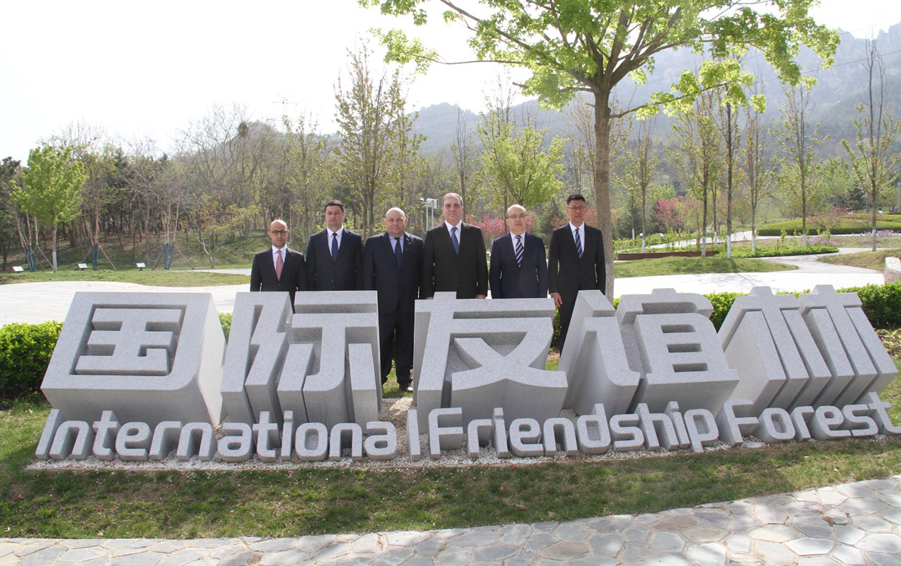 gencenin-numayende-heyeti-terefinden-cindao-seherinde-agac-ekilib