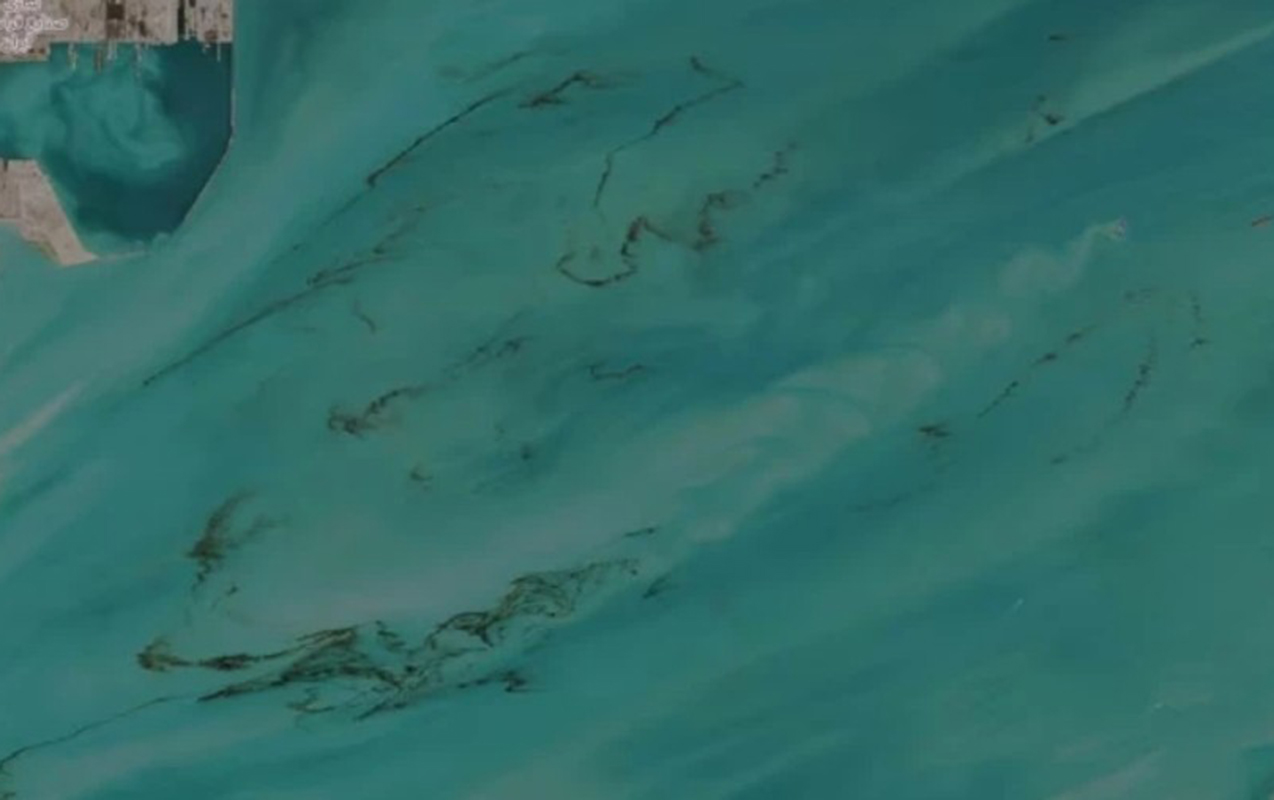 bu-ekoloji-tehluke-kosmosdan-da-gorunur