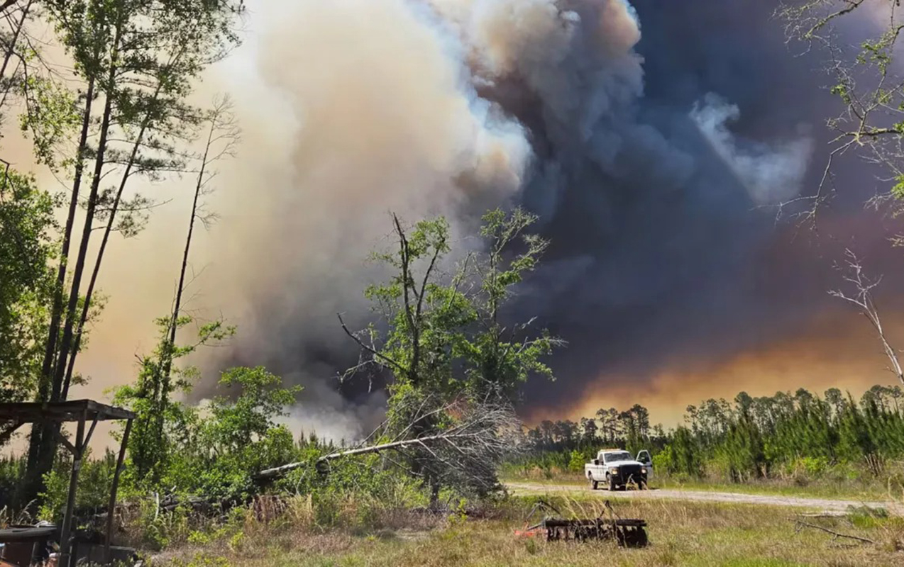 corciyada-mese-yanginlari