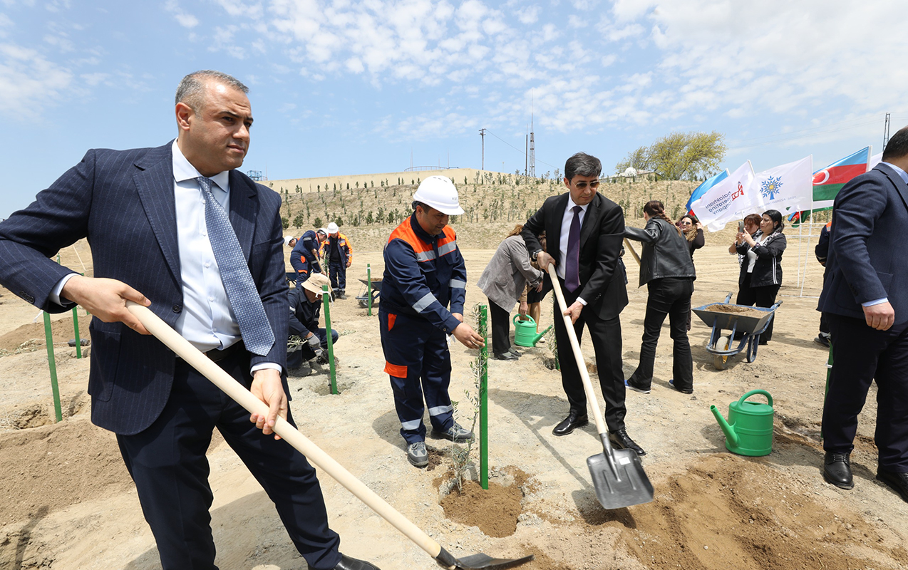 heyder-eliyevin-103-illiyi-munasibetile-agacekme-aksiyasi-teskil-edildi