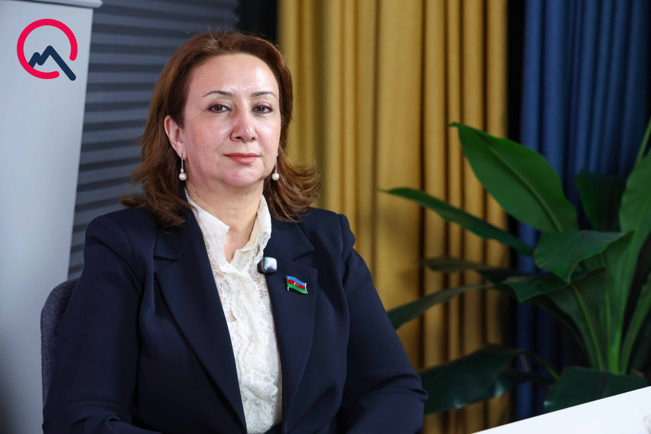 dusunur-ki-deputatsansa-qanunsuz-isleri-de-gore-bilersen