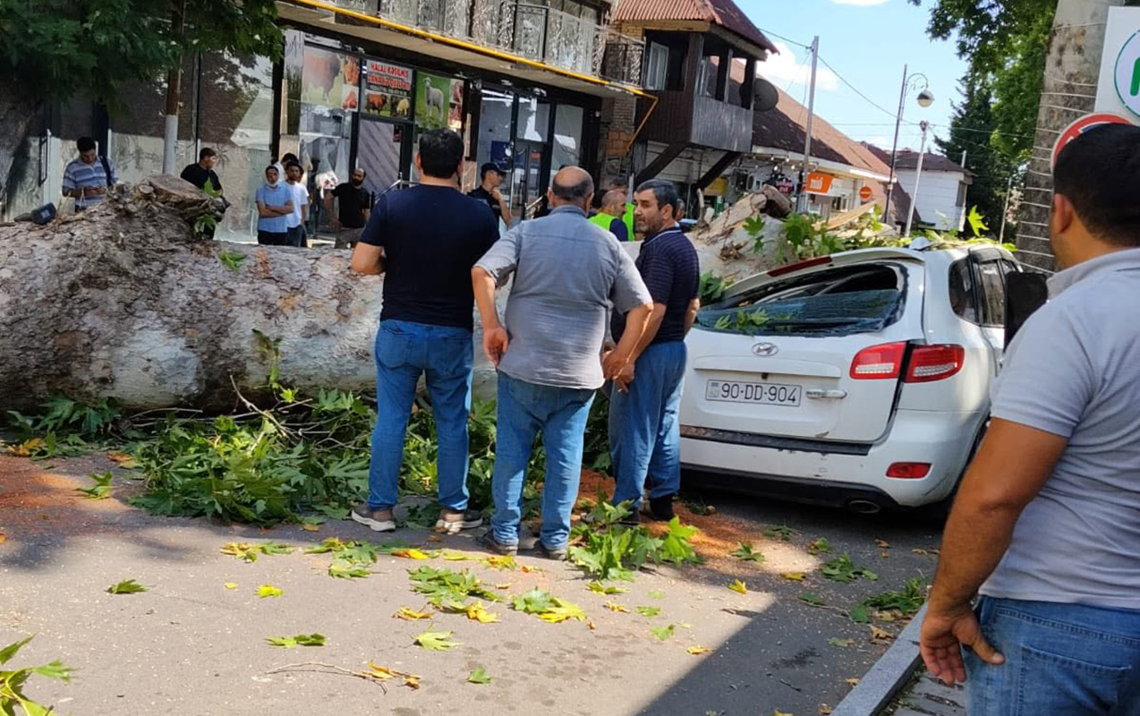 qoca-cinar-masinin-ustune-asdi